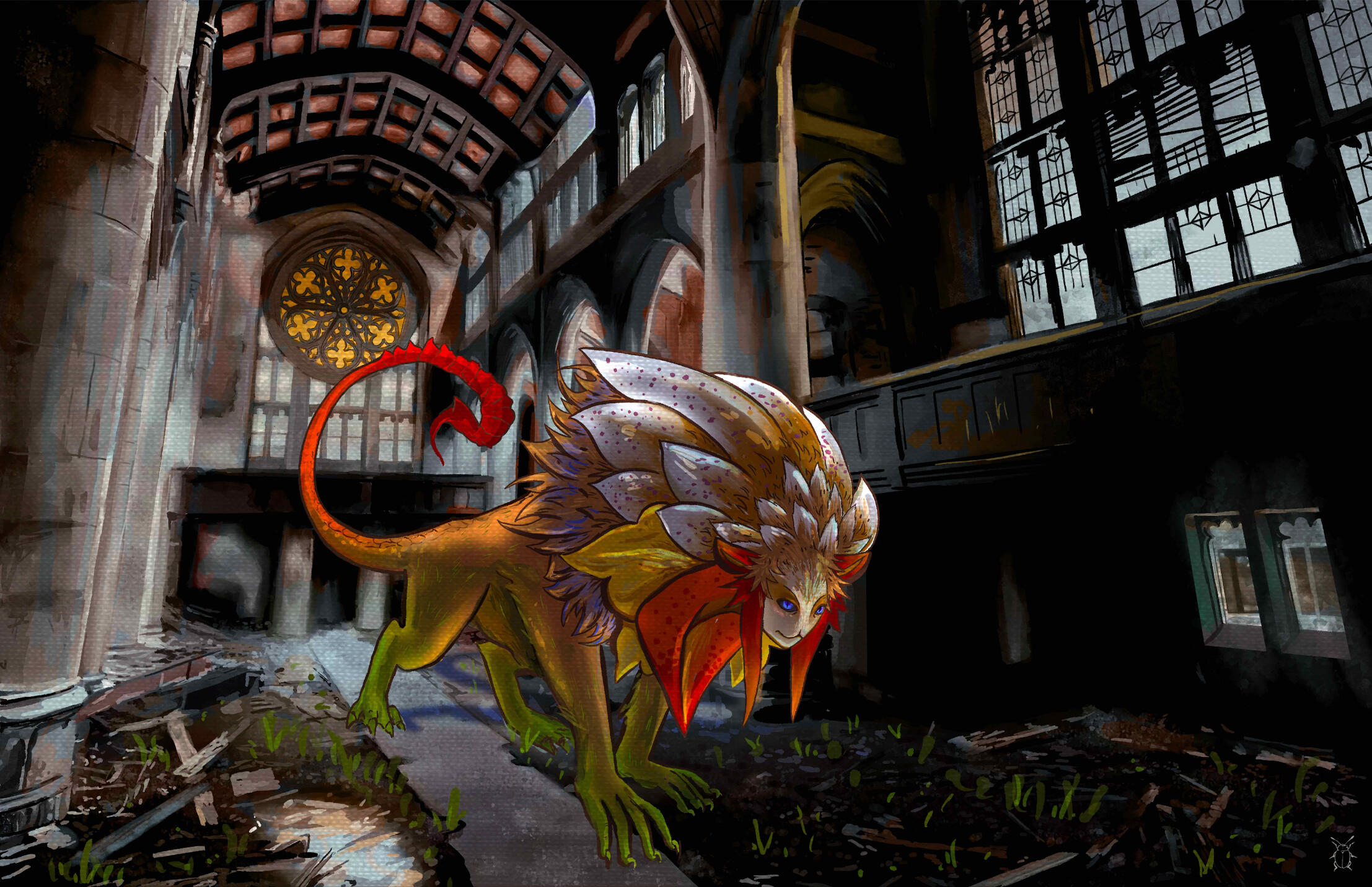 Apostasy Phalaenopsis